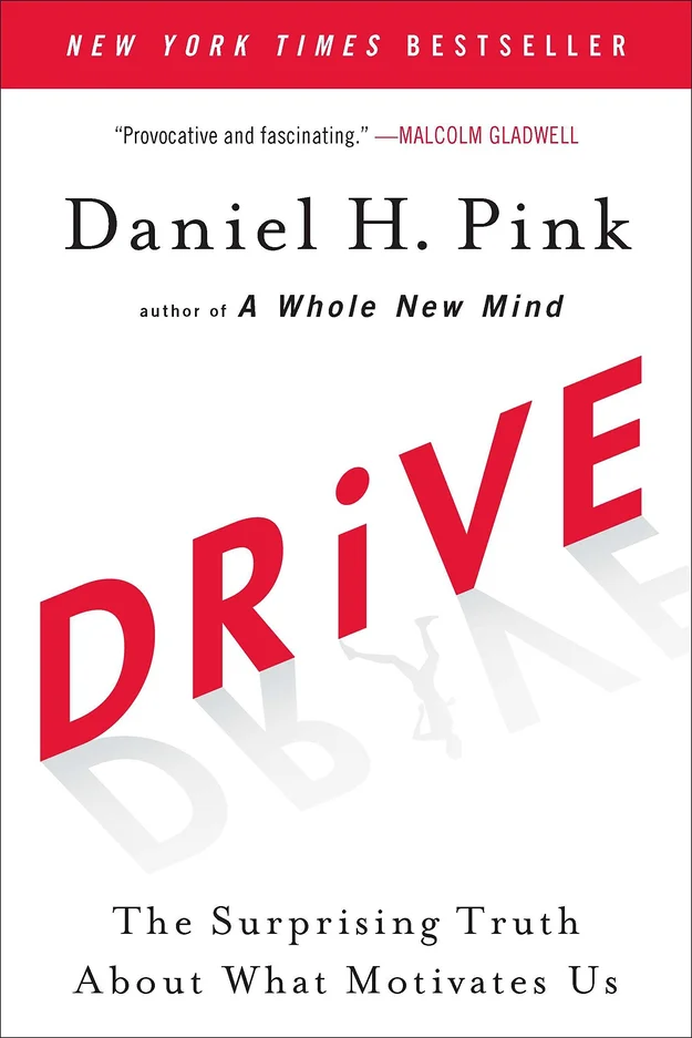 Drive book cover 